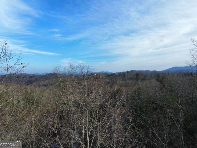 TRACT 2 Century Lane, Blue Ridge, GA 30513