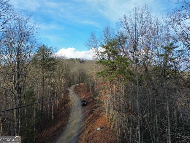 TRACT 2 Century Lane, Blue Ridge, GA 30513