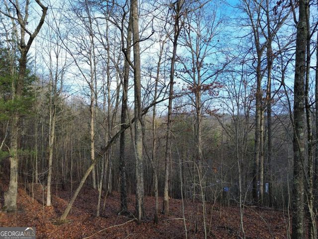 TRACT 2 Century Lane, Blue Ridge, GA 30513
