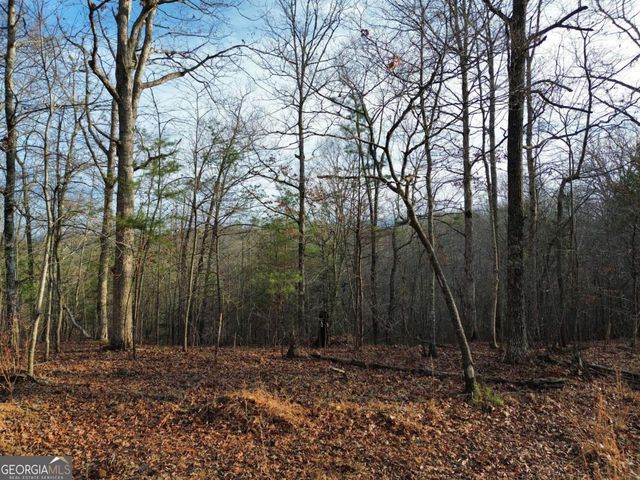 TRACT 2 Century Lane, Blue Ridge, GA 30513