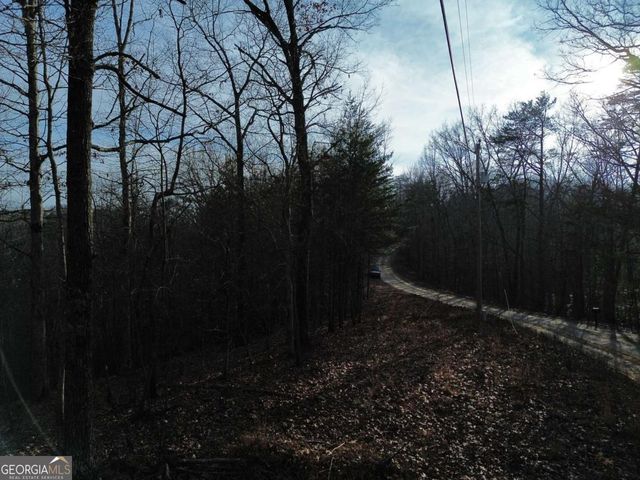 TRACT 2 Century Lane, Blue Ridge, GA 30513