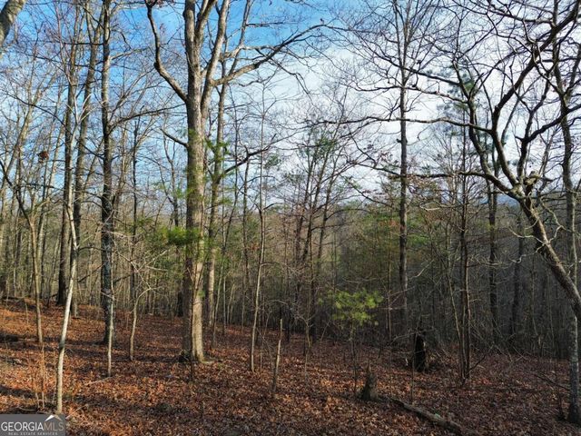 TRACT 2 Century Lane, Blue Ridge, GA 30513