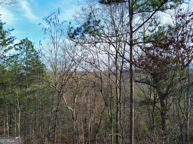TRACT 2 Century Lane, Blue Ridge, GA 30513