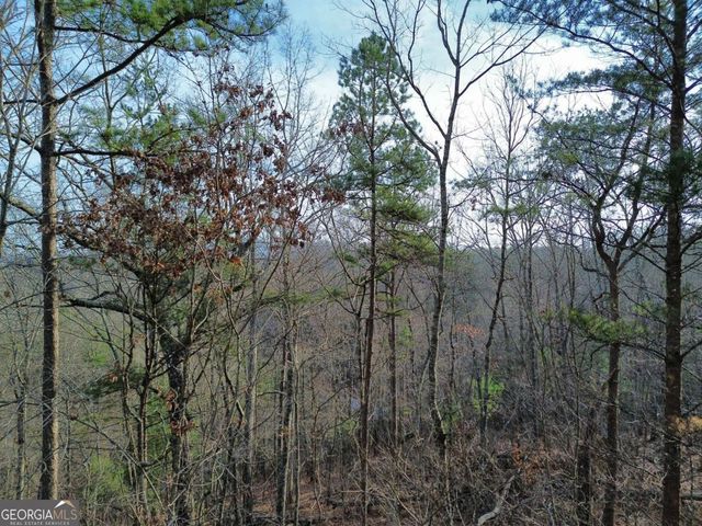 TRACT 2 Century Lane, Blue Ridge, GA 30513
