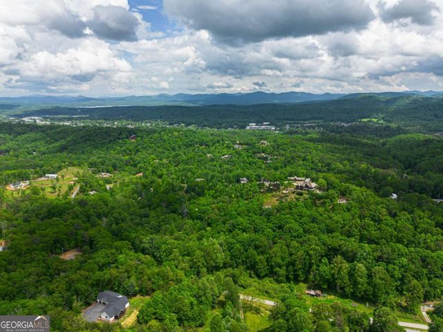 TRACT 2 Century Lane, Blue Ridge, GA 30513