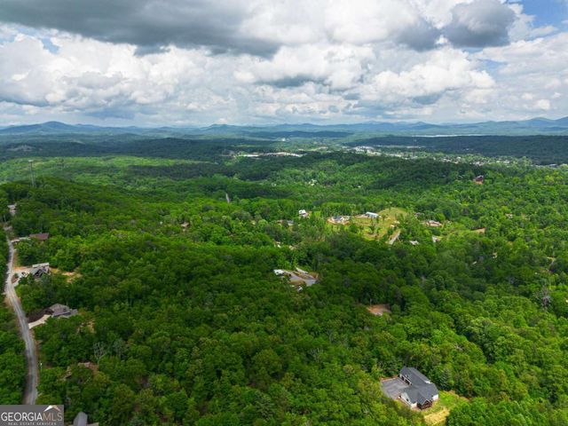 TRACT 2 Century Lane, Blue Ridge, GA 30513
