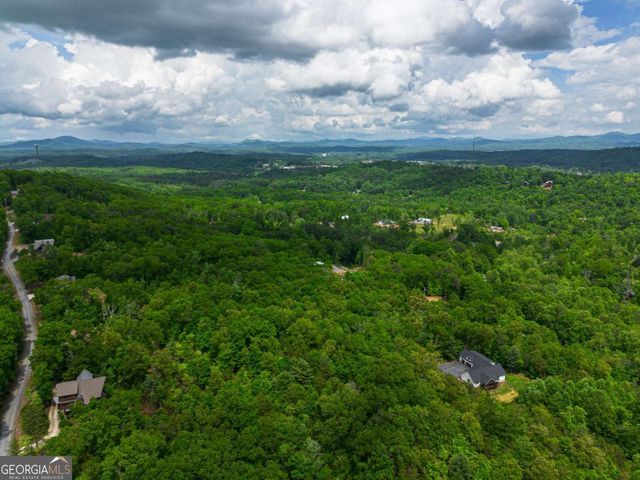 TRACT 2 Century Lane, Blue Ridge, GA 30513