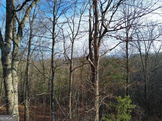 TRACT 2 Century Lane, Blue Ridge, GA 30513