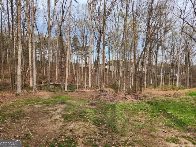 2511 Culpepper Trace, Bethlehem, GA 30620