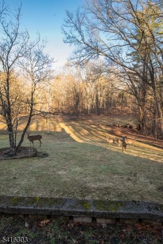 5 Piney Rd, Montague Twp., NJ 07827