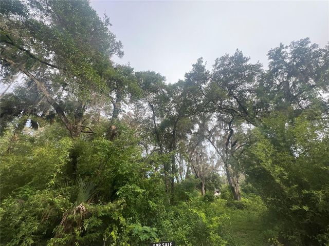 NE 32ND STREET, Silver Springs, FL 34488