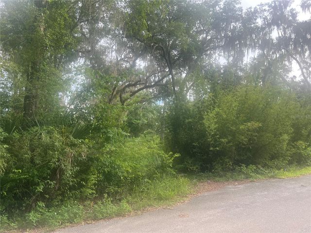 NE 32ND STREET, Silver Springs, FL 34488