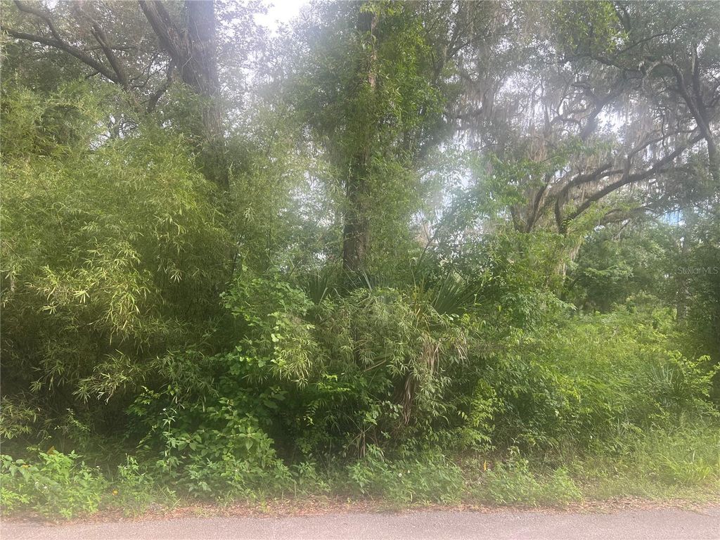 NE 32ND STREET, Silver Springs, FL 34488
