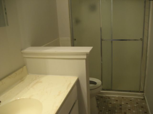 1424 CAROL Court 3A, Palatine, IL 60074