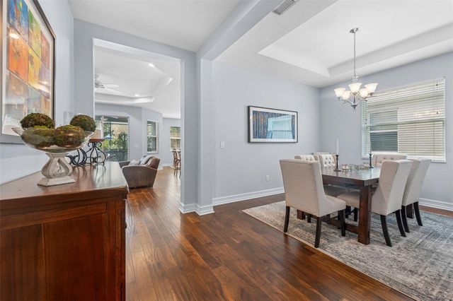 8011 RED ORCHARD COURT, Tampa, FL 33635