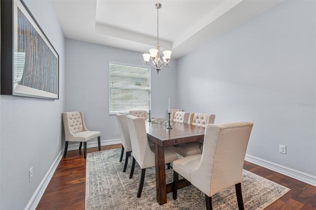 8011 RED ORCHARD COURT, Tampa, FL 33635