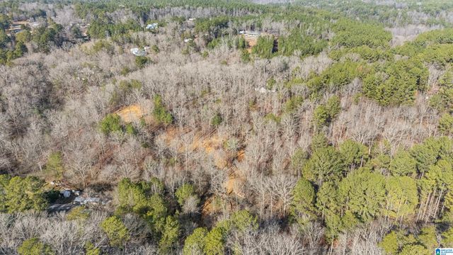7019 GROUNDHOG ROAD, Morris, AL 35116