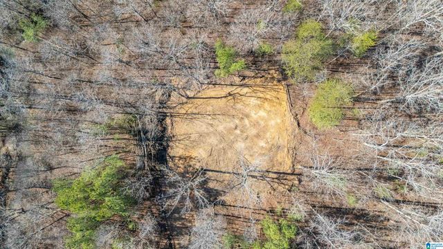 7019 GROUNDHOG ROAD, Morris, AL 35116