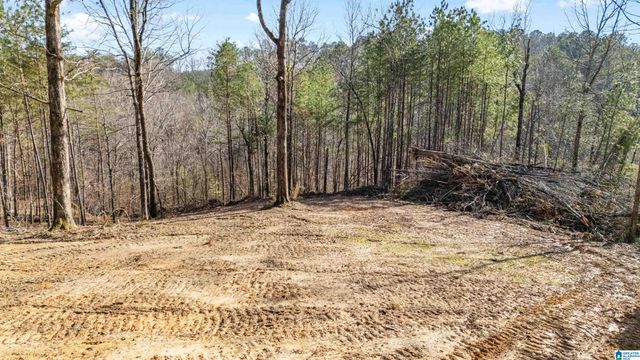 7019 GROUNDHOG ROAD, Morris, AL 35116