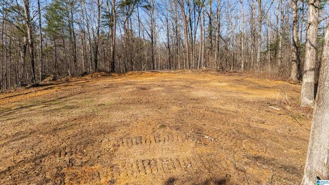 7019 GROUNDHOG ROAD, Morris, AL 35116