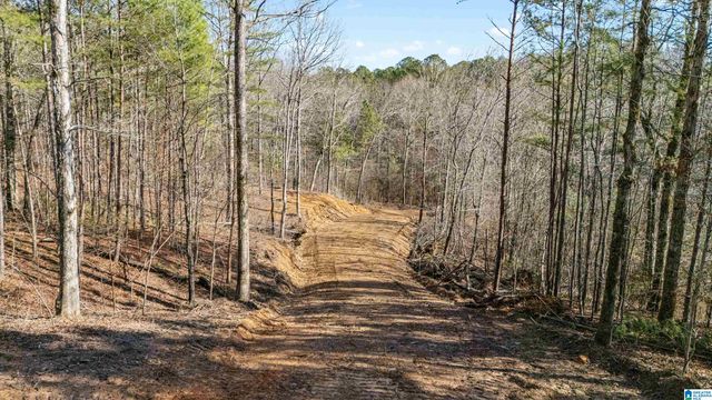 7019 GROUNDHOG ROAD, Morris, AL 35116