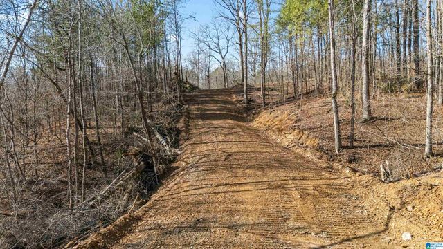 7019 GROUNDHOG ROAD, Morris, AL 35116