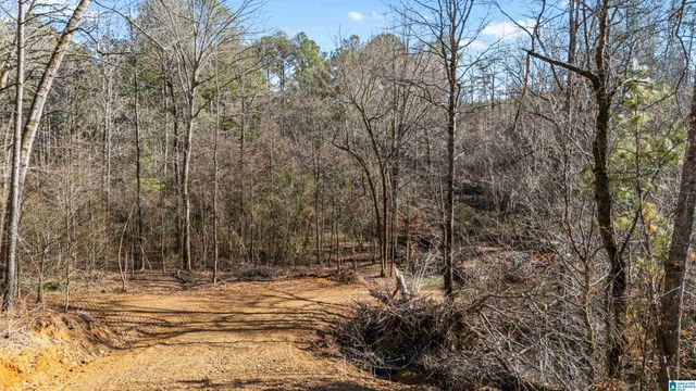 7019 GROUNDHOG ROAD, Morris, AL 35116