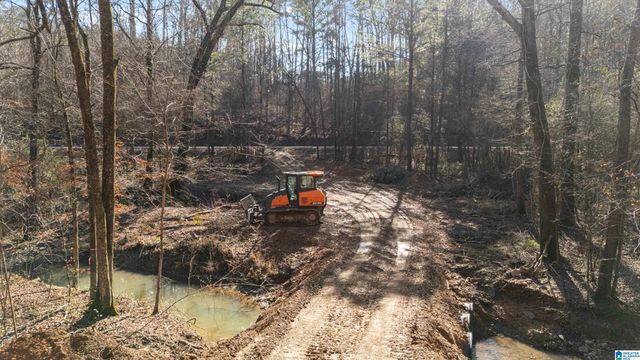 7019 GROUNDHOG ROAD, Morris, AL 35116