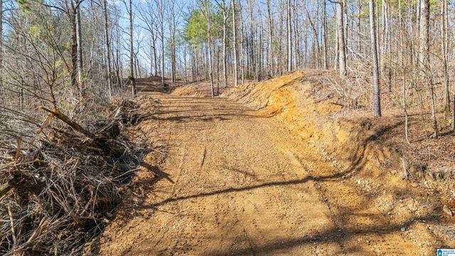 7019 GROUNDHOG ROAD, Morris, AL 35116