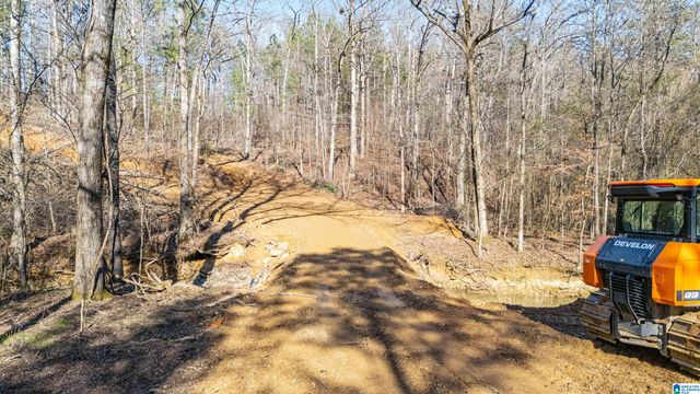 7019 GROUNDHOG ROAD, Morris, AL 35116