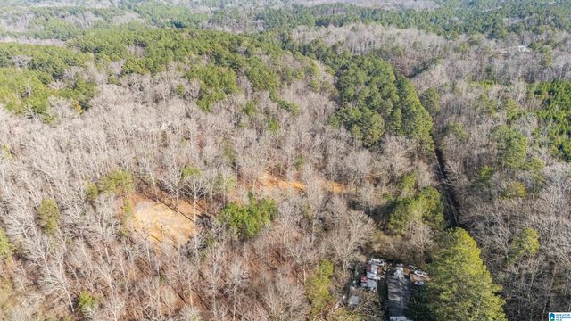 7019 GROUNDHOG ROAD, Morris, AL 35116