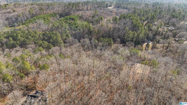 7019 GROUNDHOG ROAD, Morris, AL 35116