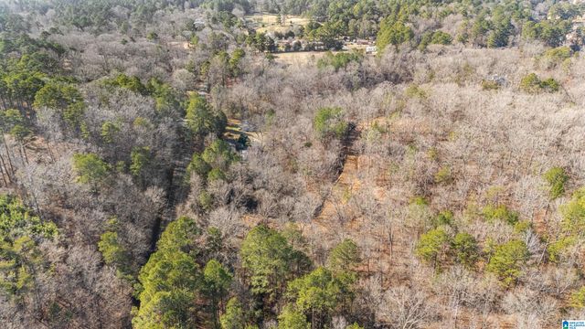 7019 GROUNDHOG ROAD, Morris, AL 35116