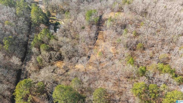 7019 GROUNDHOG ROAD, Morris, AL 35116