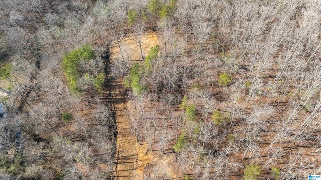 7019 GROUNDHOG ROAD, Morris, AL 35116