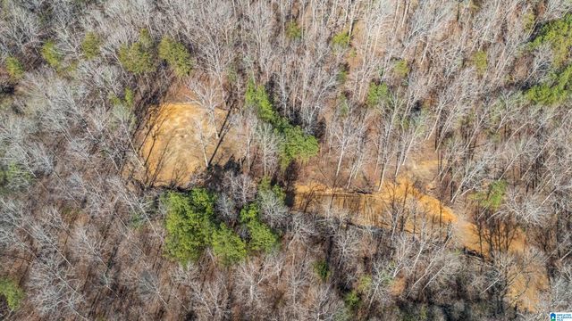 7019 GROUNDHOG ROAD, Morris, AL 35116