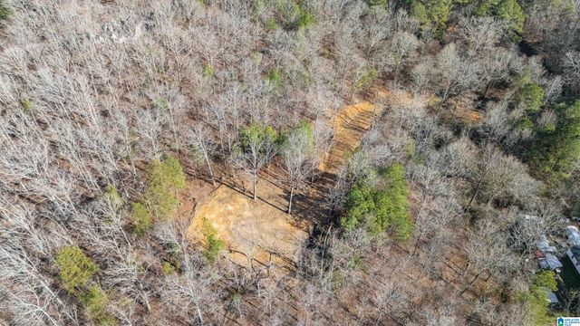 7019 GROUNDHOG ROAD, Morris, AL 35116