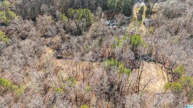 7019 GROUNDHOG ROAD, Morris, AL 35116