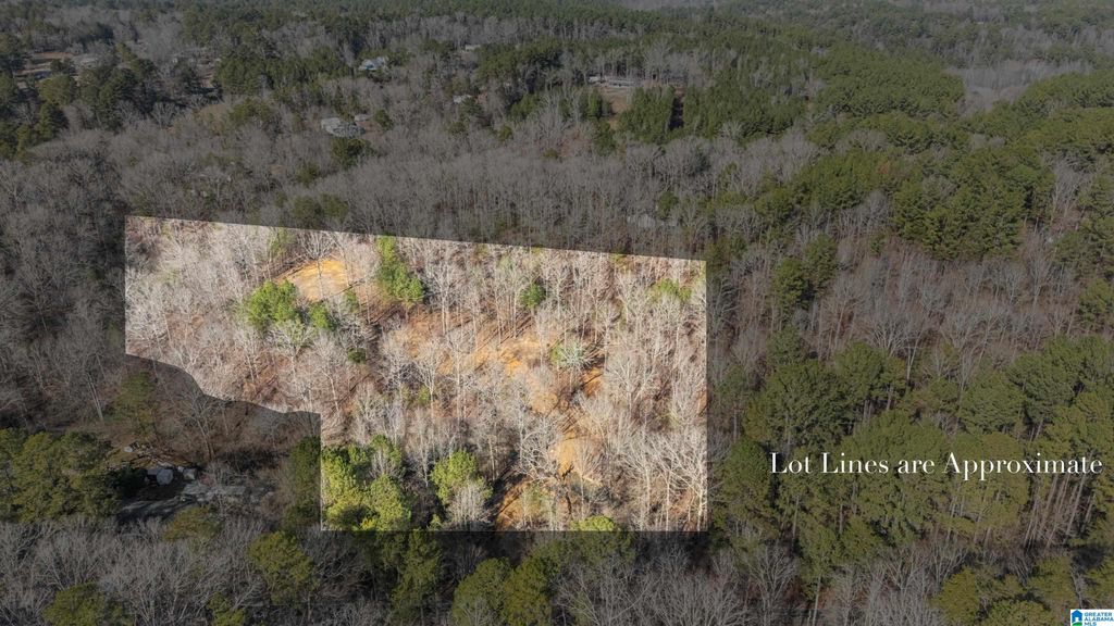 7019 GROUNDHOG ROAD, Morris, AL 35116