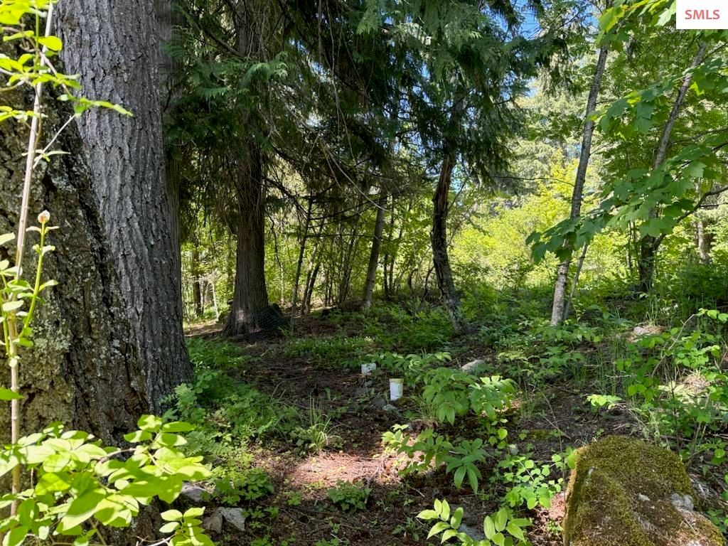 707 Eagen Mtn Drive, Hope, ID 83836 photo 48