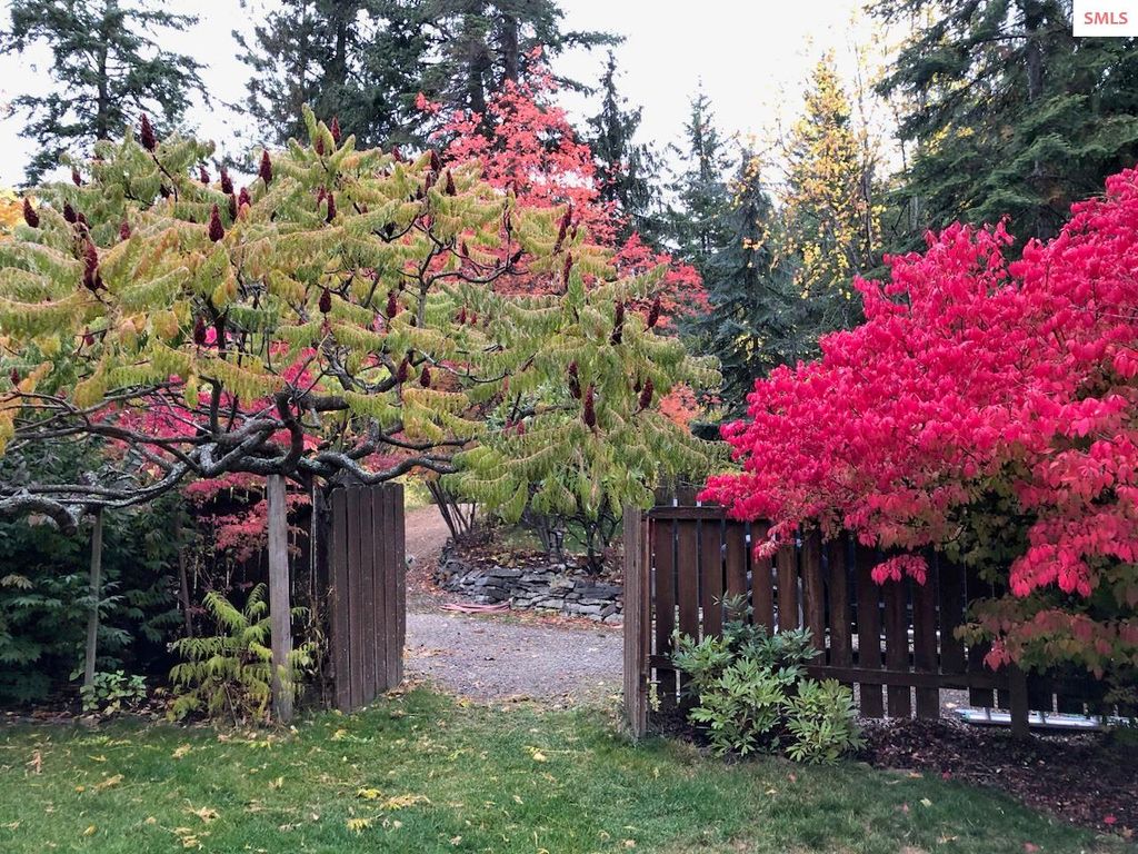 707 Eagen Mtn Drive, Hope, ID 83836 photo 54