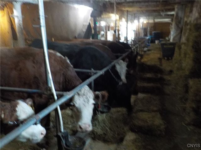 10846 Baker Road, Cato, NY 13033