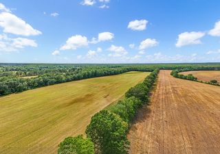 3249 Fredonia Rd, Manchester, TN 37355