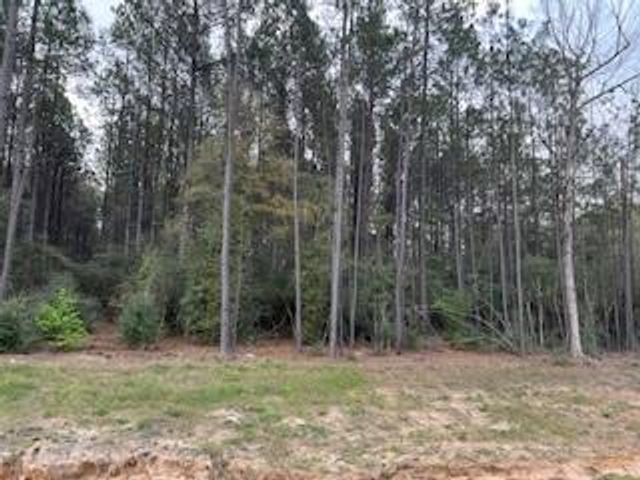 15871 Ridge Oak Road, Willis, TX 77378