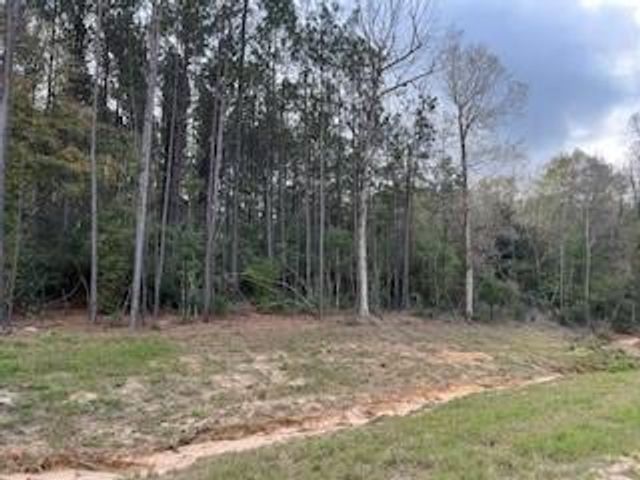 15871 Ridge Oak Road, Willis, TX 77378