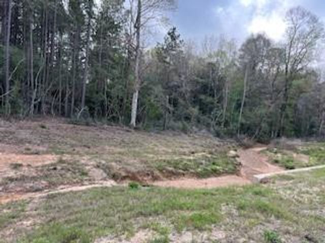 15871 Ridge Oak Road, Willis, TX 77378