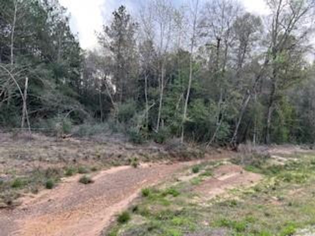 15871 Ridge Oak Road, Willis, TX 77378