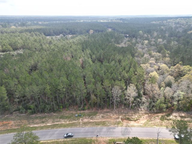 15871 Ridge Oak Road, Willis, TX 77378