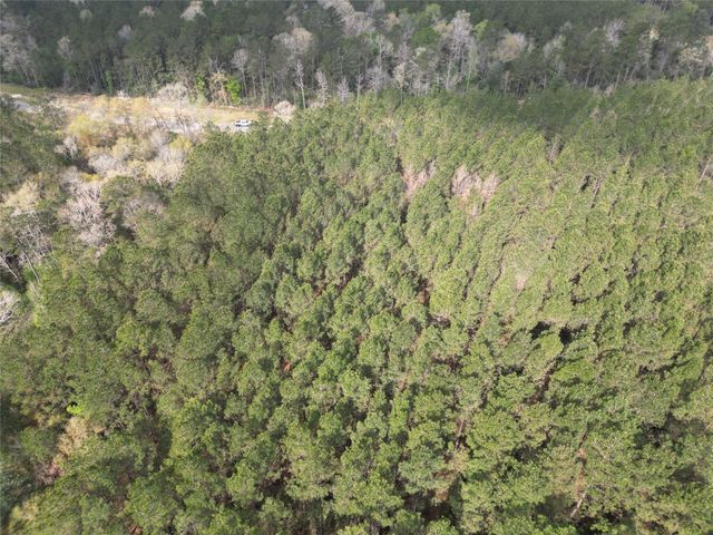 15871 Ridge Oak Road, Willis, TX 77378