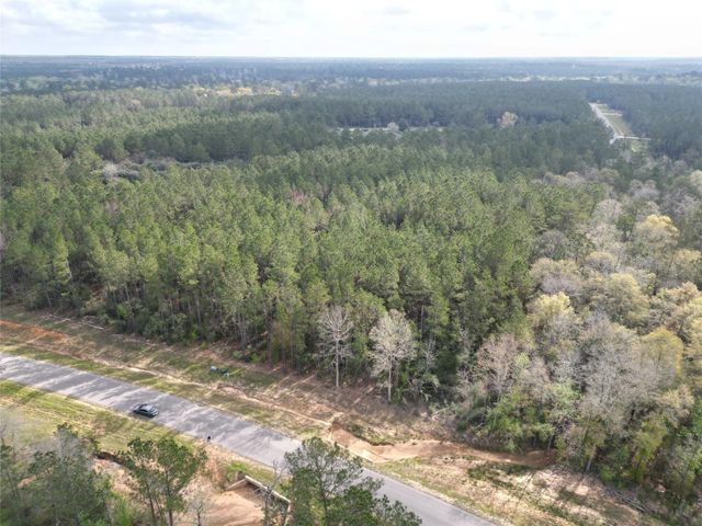 15871 Ridge Oak Road, Willis, TX 77378